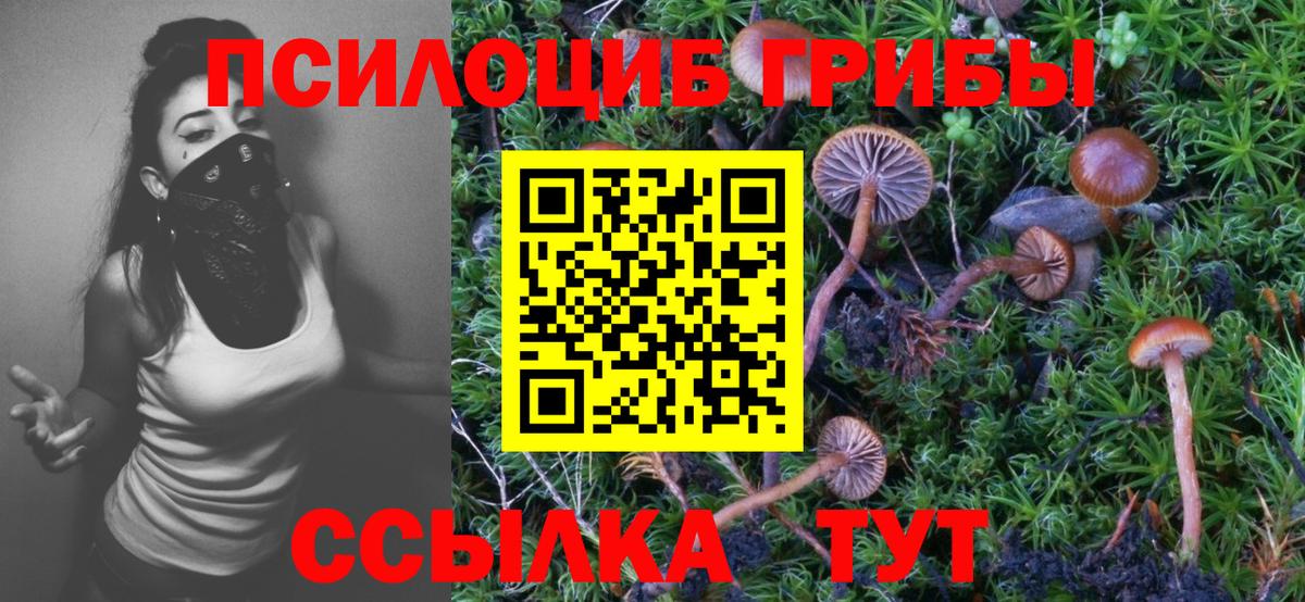 Галлюциногенные грибы GOLDEN TEACHER Вичуга