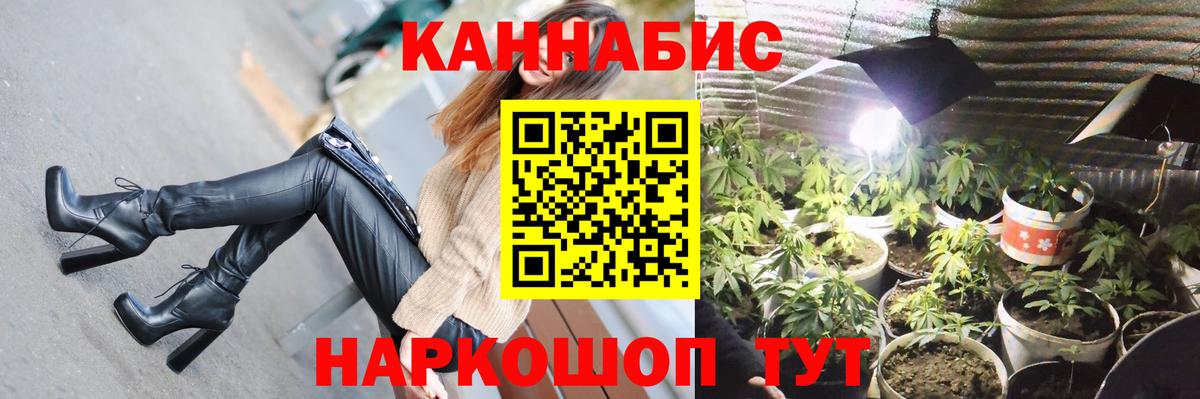 Канабис планчик Вичуга